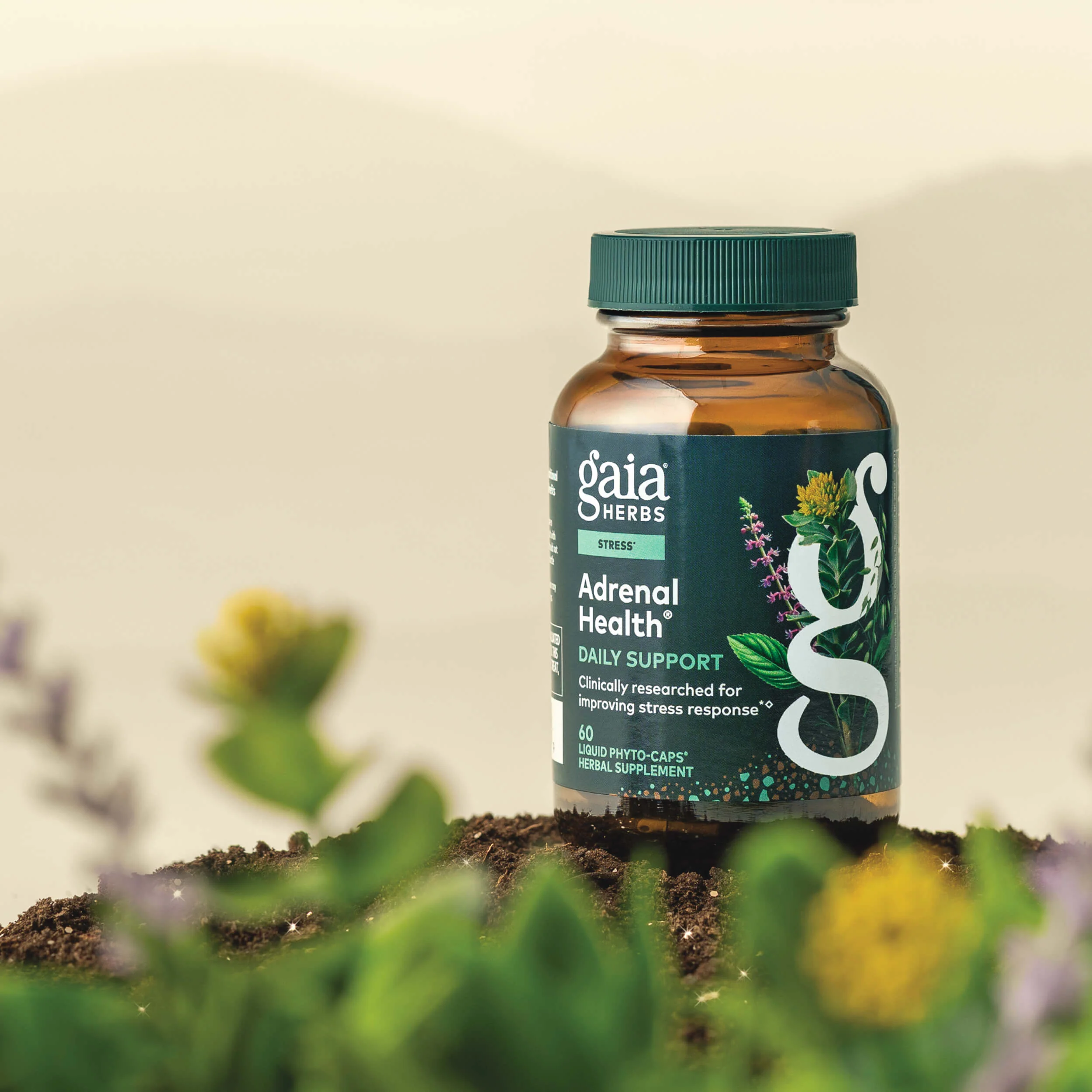 Adrenal Health® Daily Support - Image 3