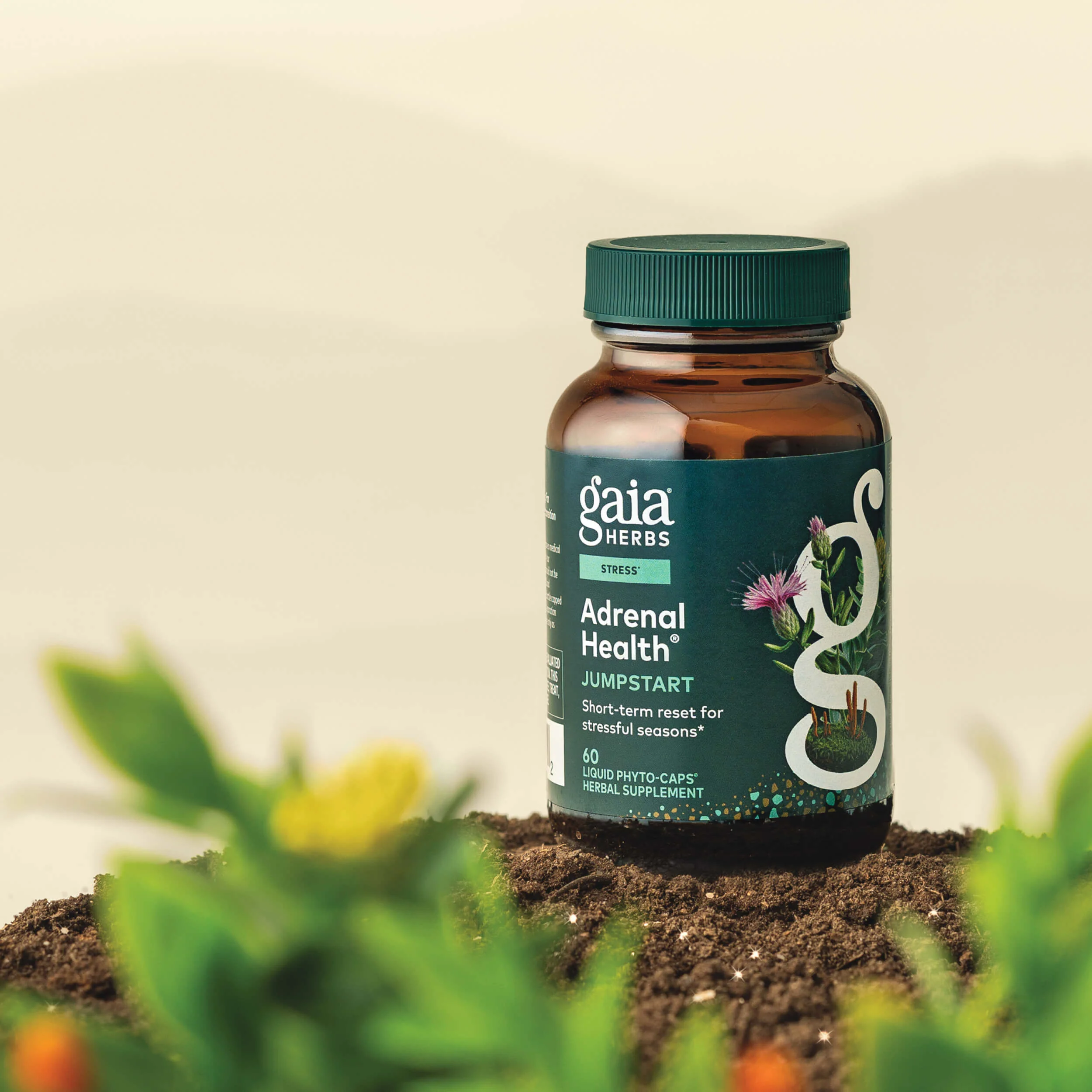Adrenal Health® Jumpstart - Image 3