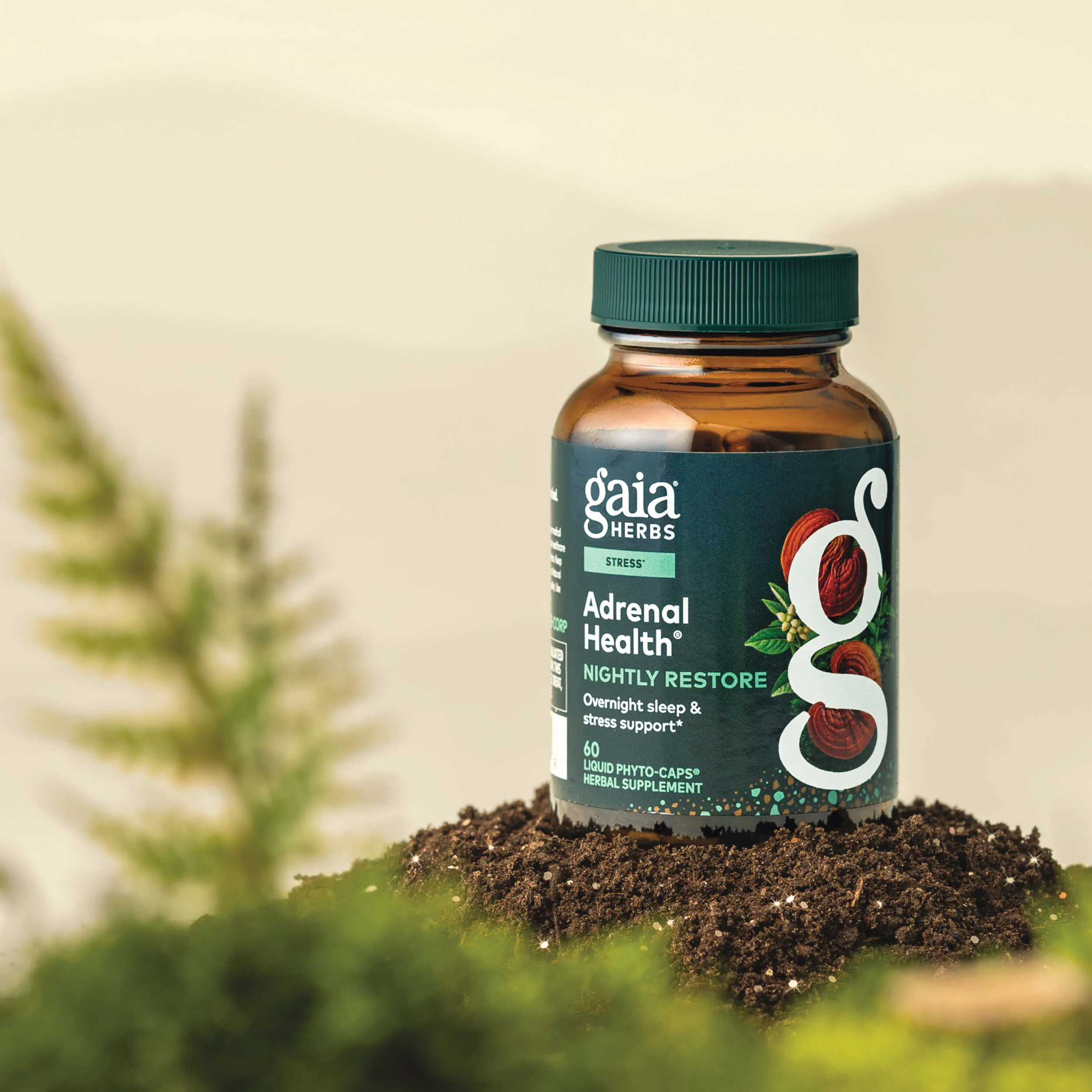 Adrenal Health® Nightly Restore - Image 3