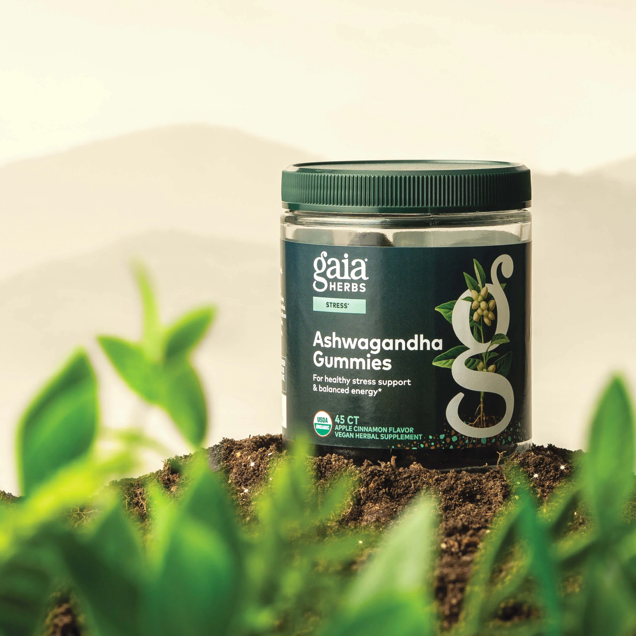 Ashwagandha Gummies - Image 3