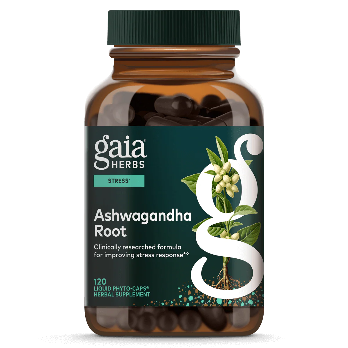 Ashwagandha Root - Image 6