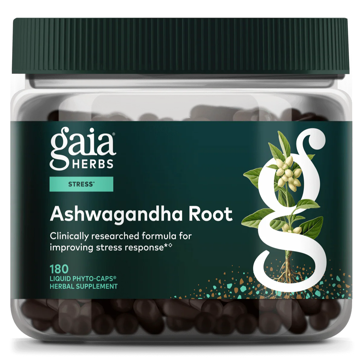 Ashwagandha Root - Image 7