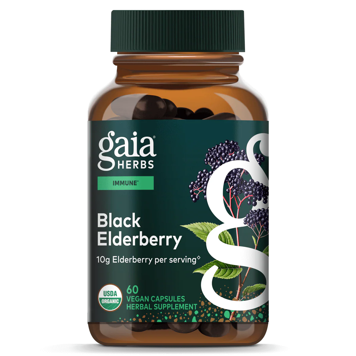 Black Elderberry