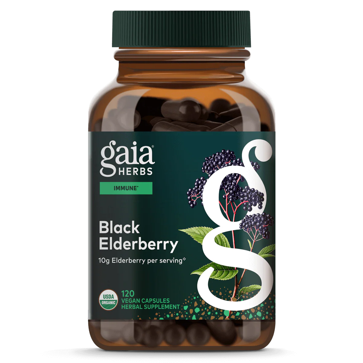 Black Elderberry - Image 5