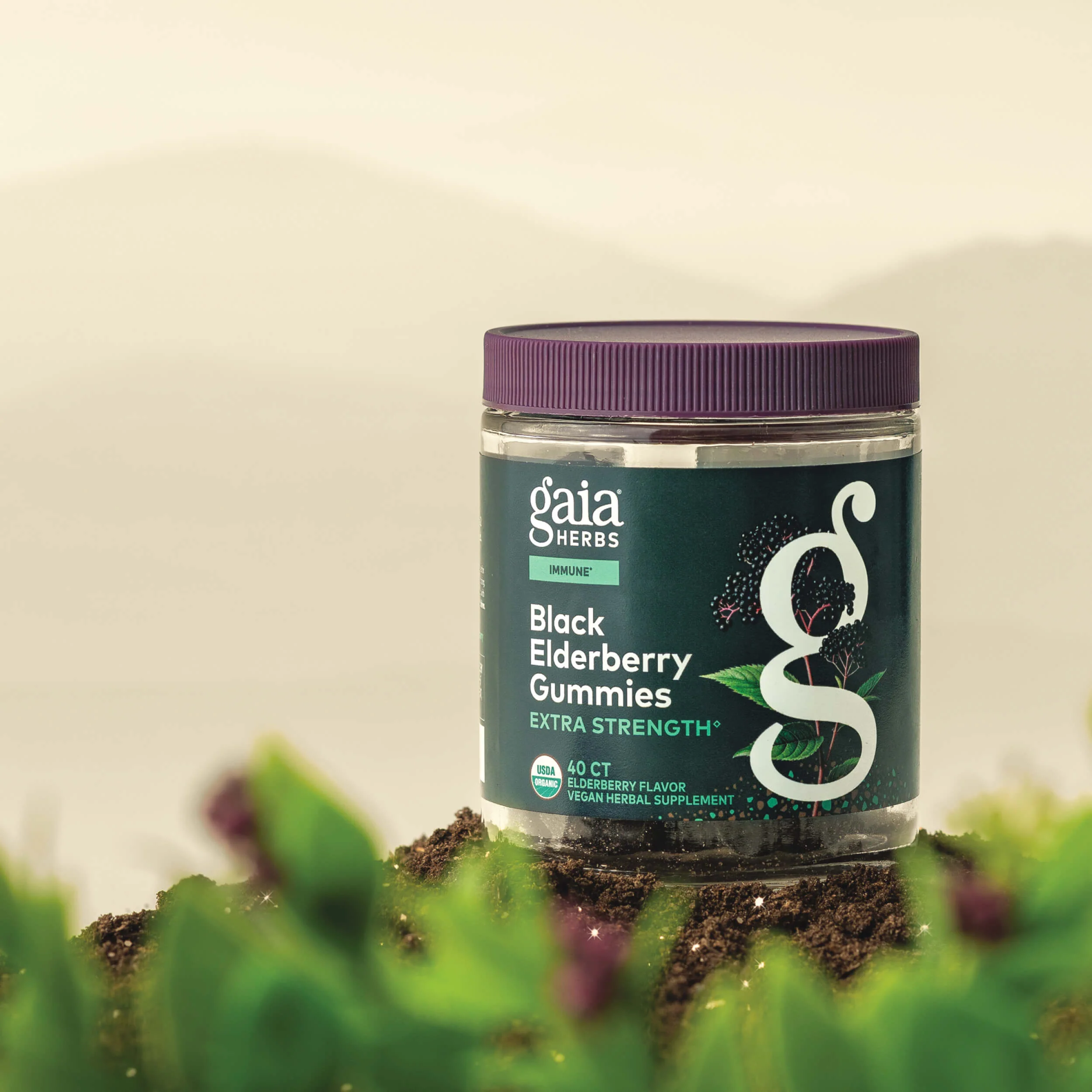 Black Elderberry Gummies Extra Strength - Image 3
