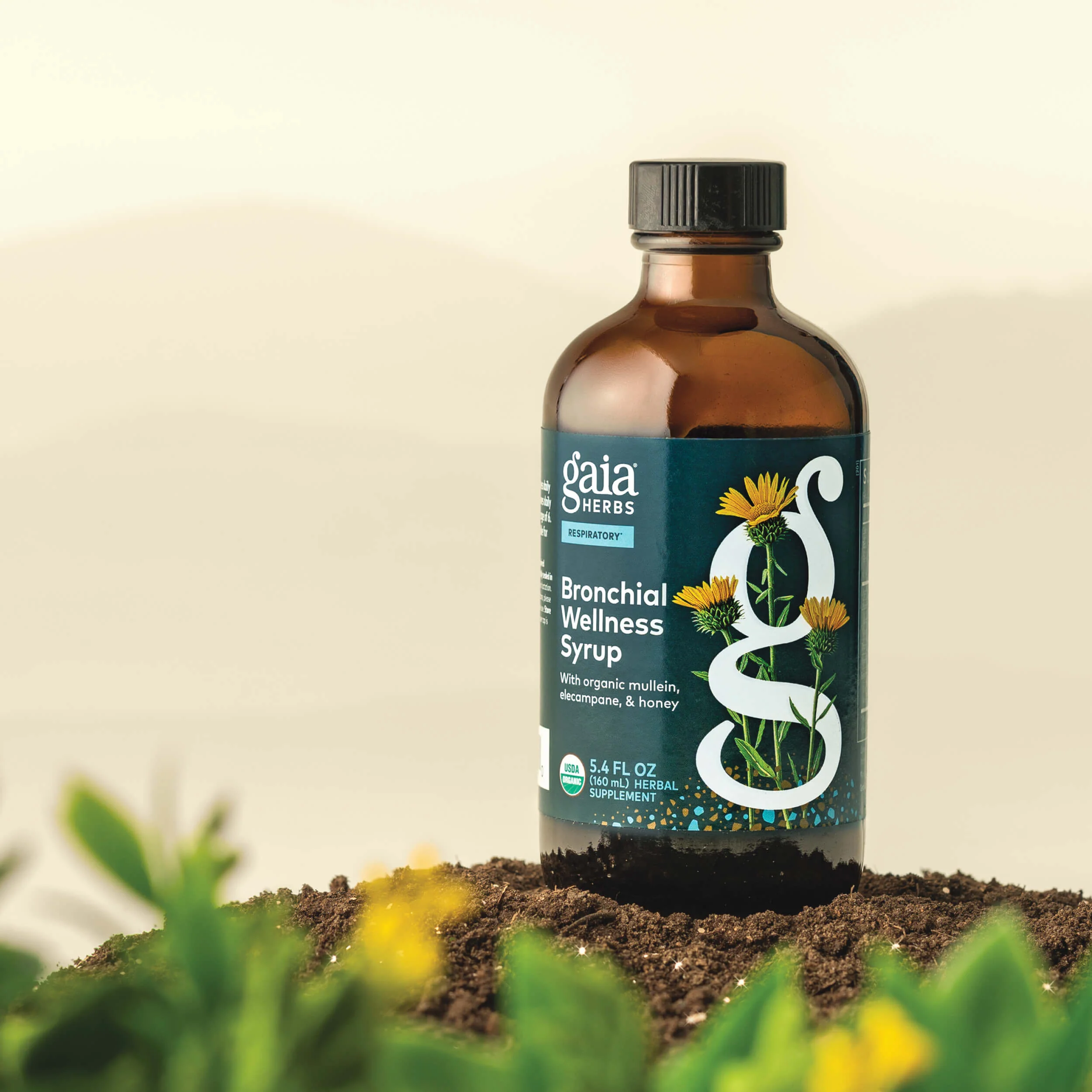 Bronchial Wellness Syrup - Image 3