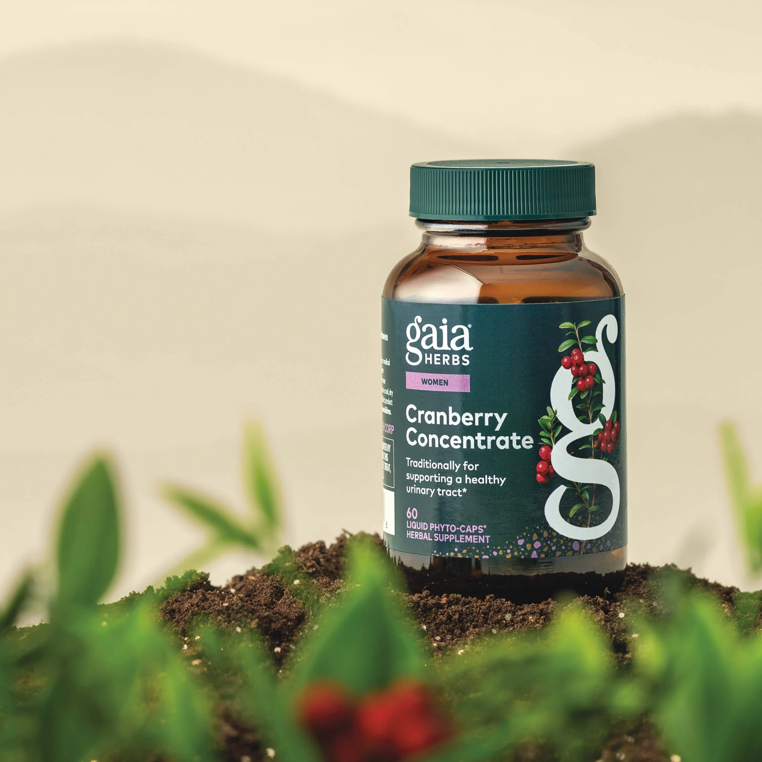 Cranberry Concentrate - Image 3