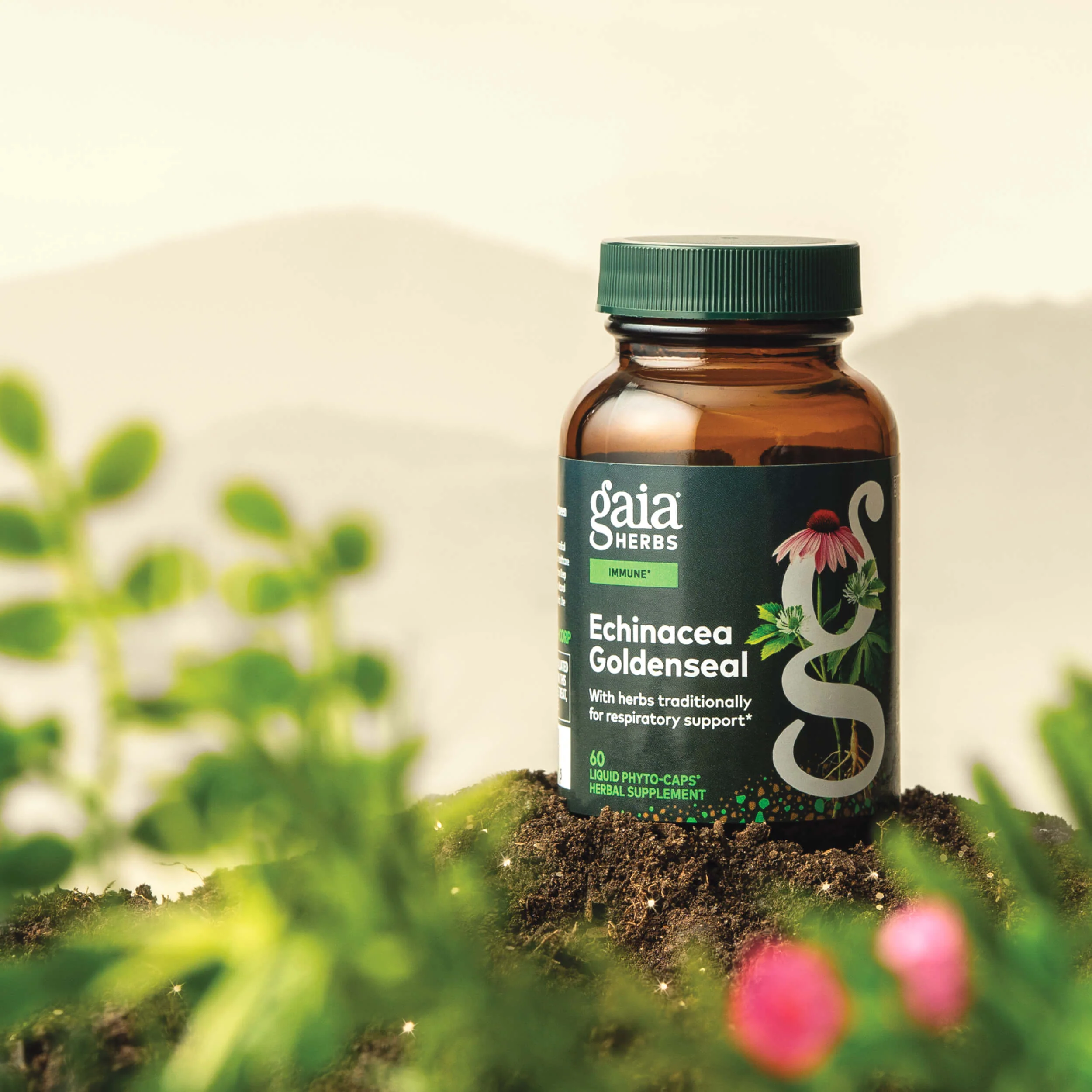 Echinacea Goldenseal - Image 3