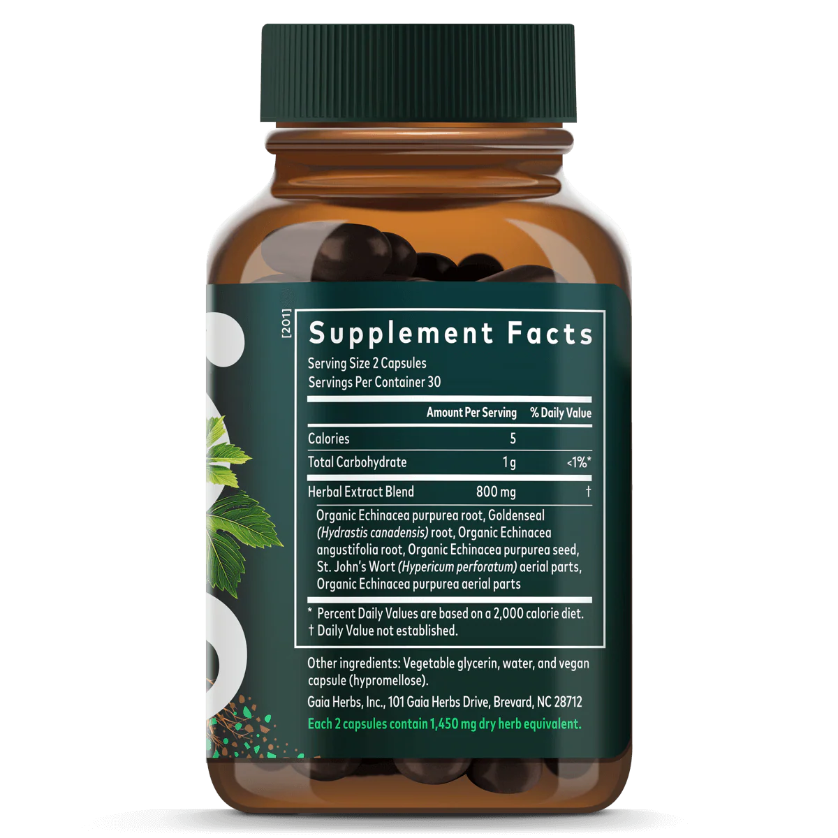 Echinacea Goldenseal - Image 4