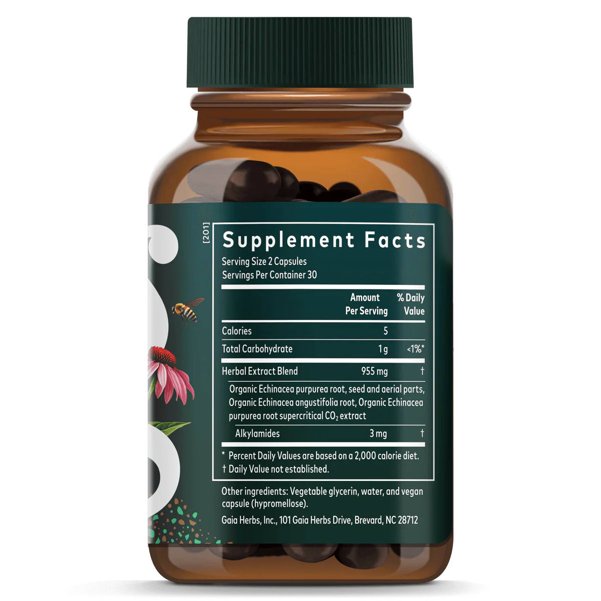 Echinacea Supreme - Image 3