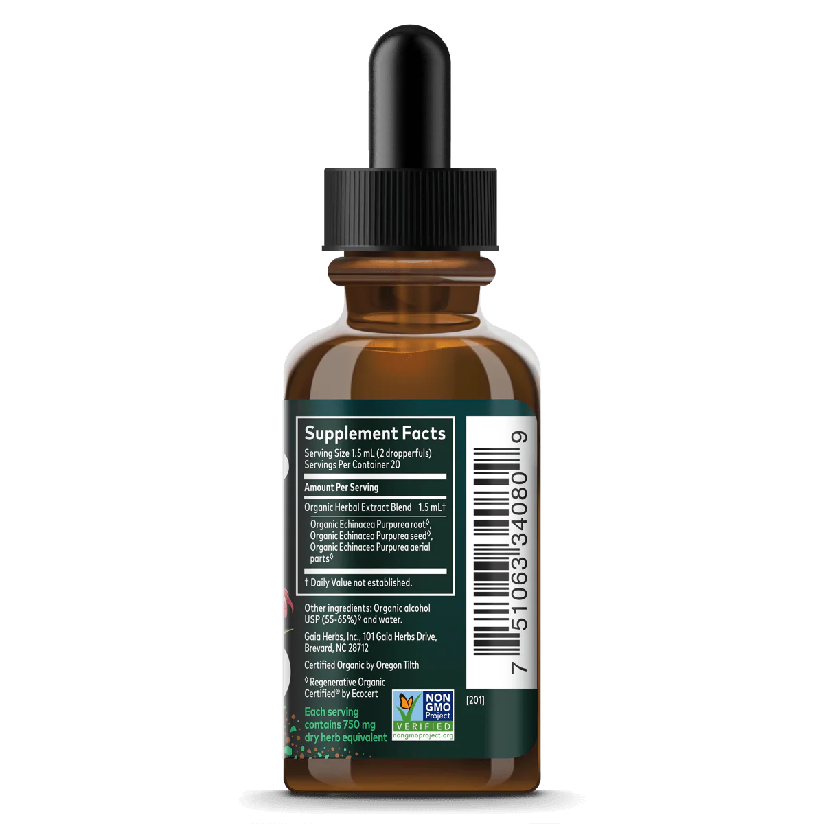 Echinacea Supreme - Image 3