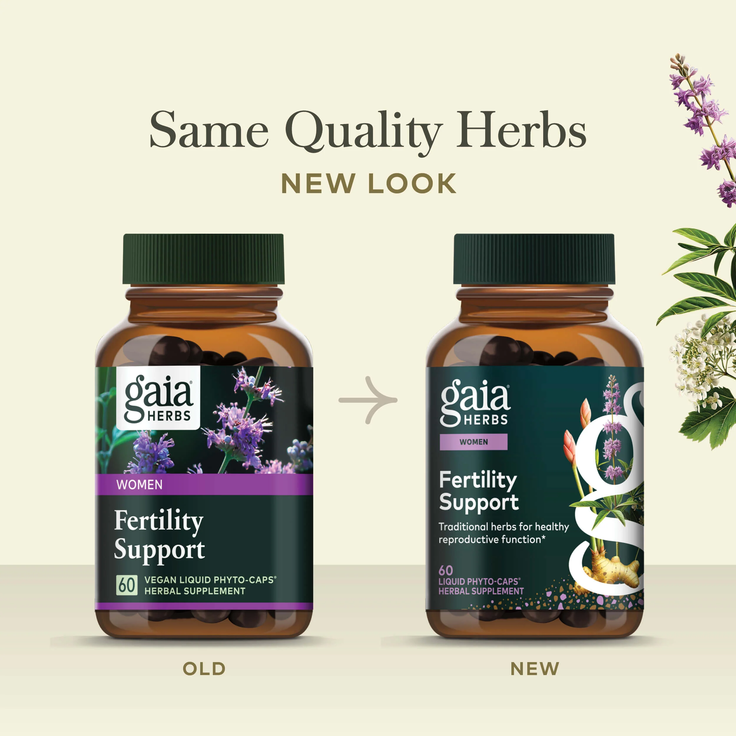 Fertility Support - Image 2