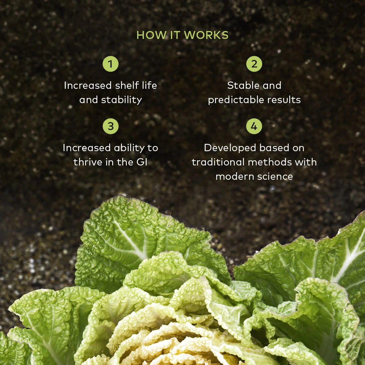 Ginger-Beet Postbiotic - Image 4
