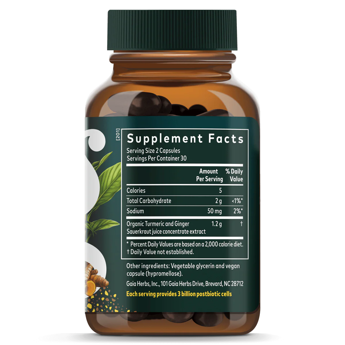 Ginger-Turmeric Postbiotic - Image 3