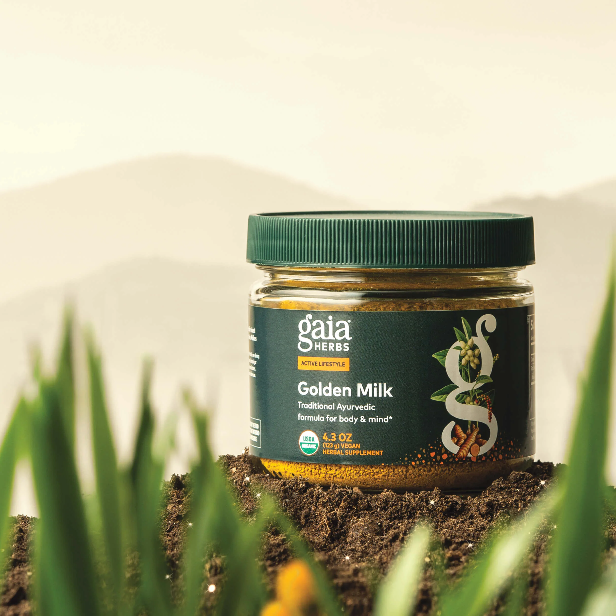 Golden Milk - Image 3