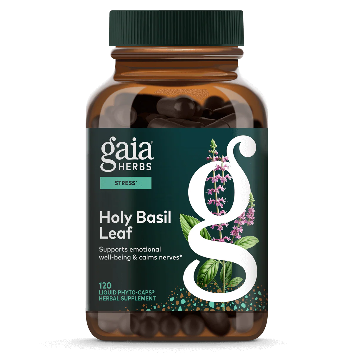 Holy Basil Leaf - Image 6
