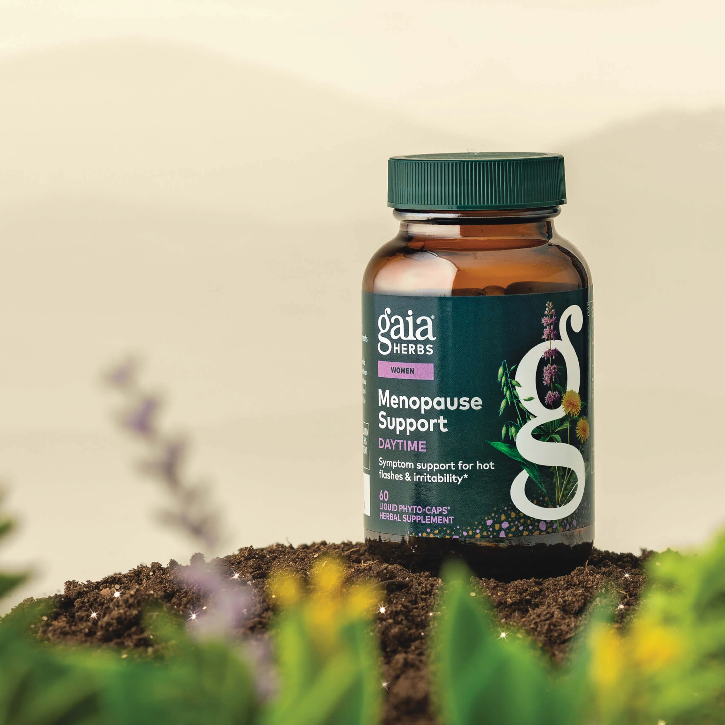 Menopause Support Daytime - Image 3