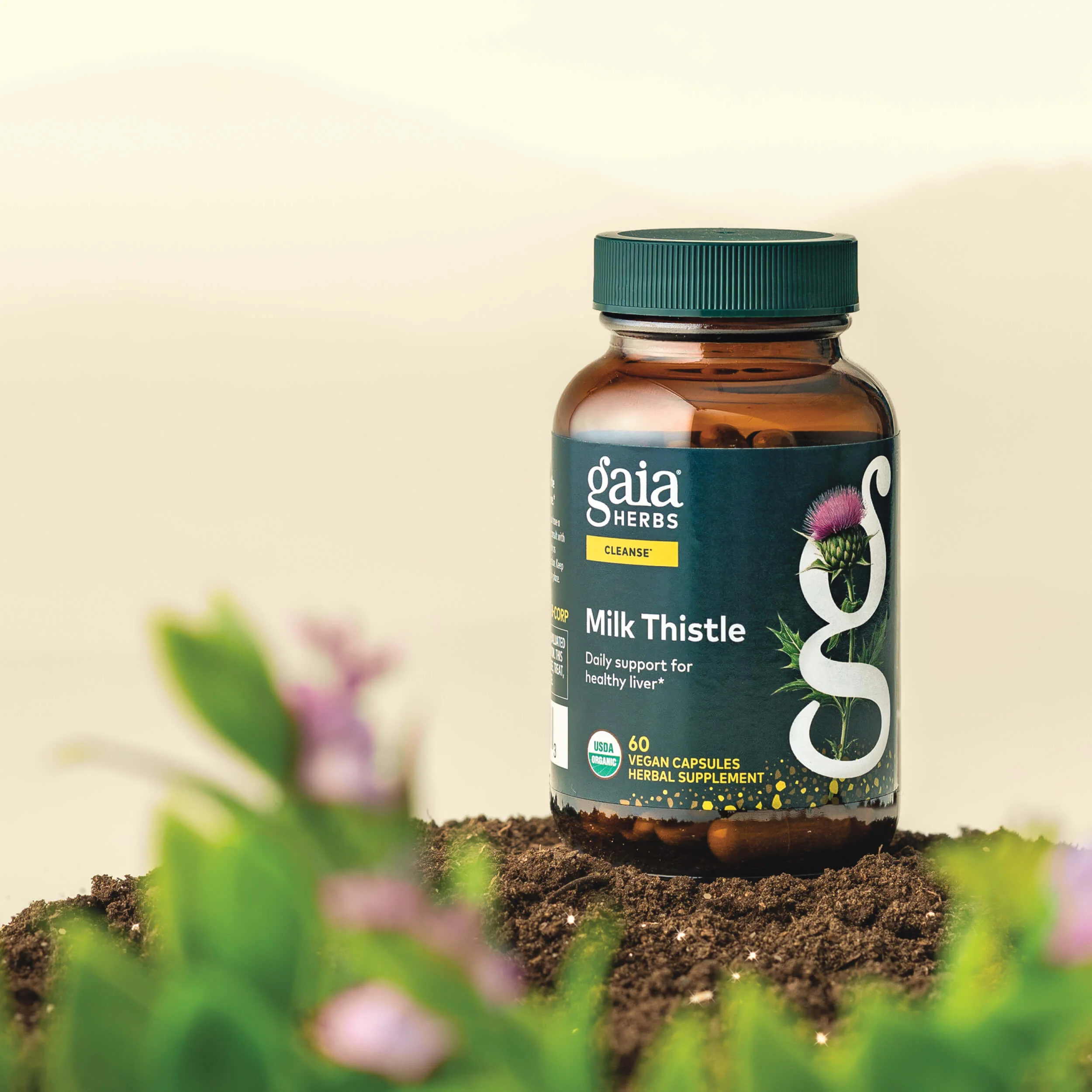 Milk Thistle - Image 3