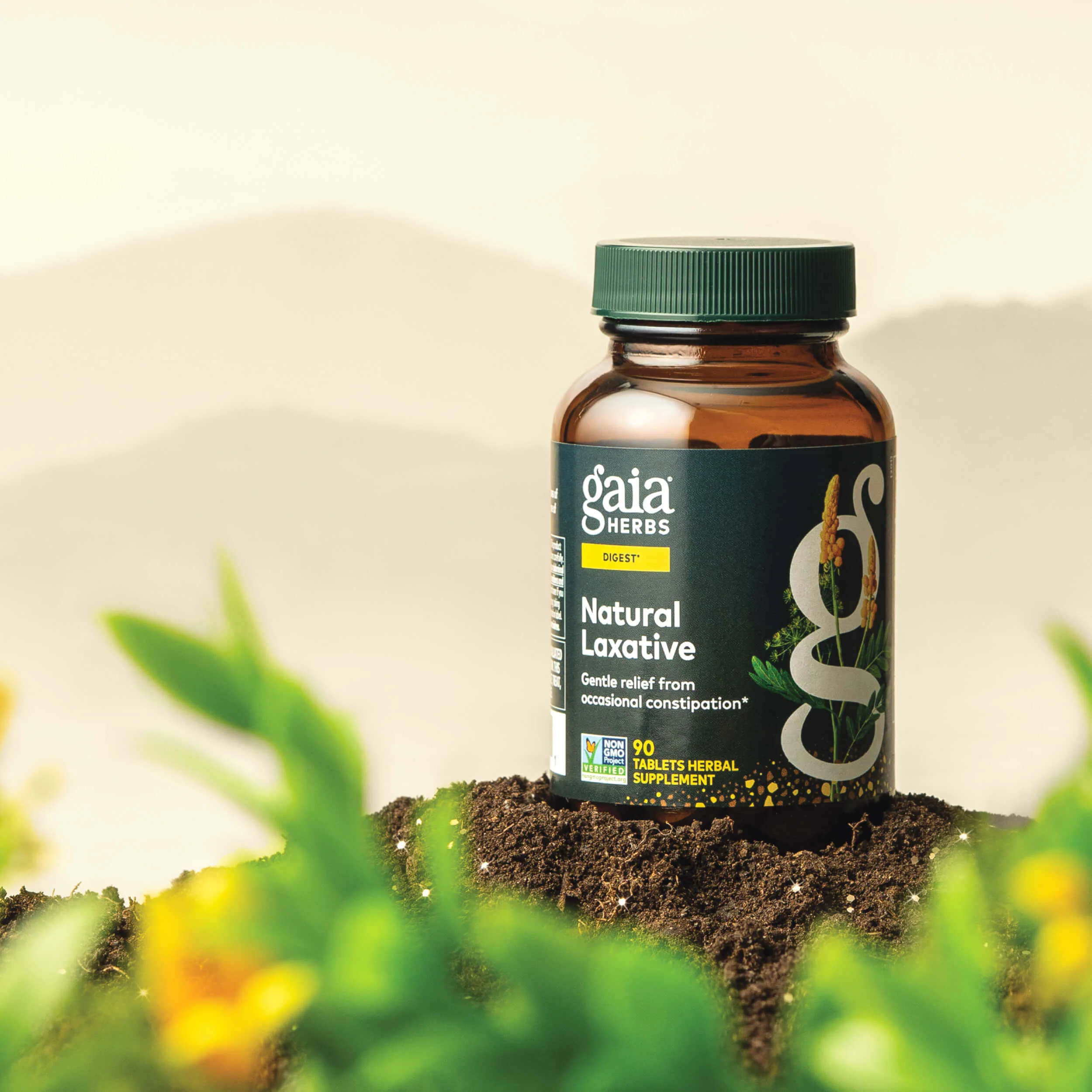 Natural Laxative - Image 3