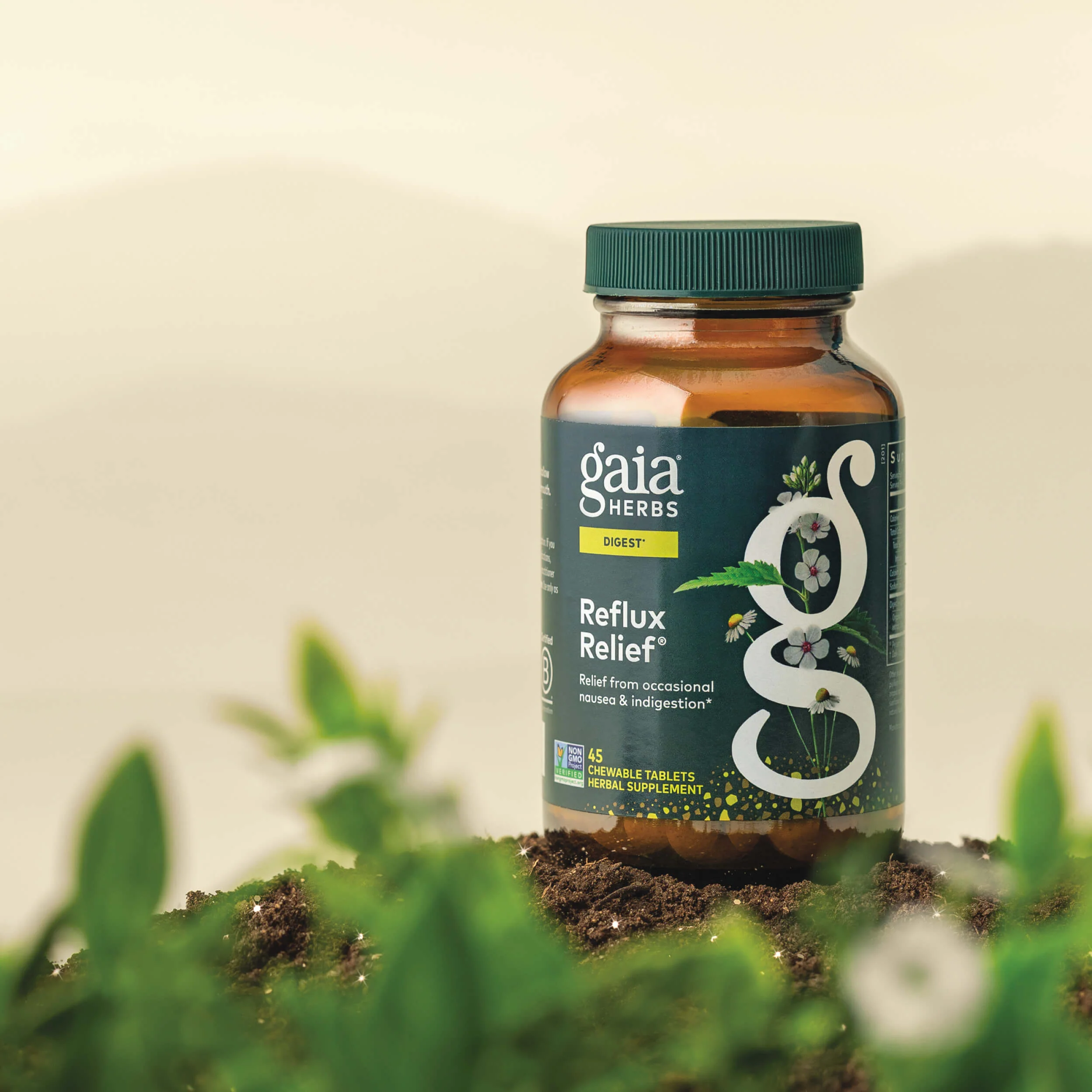 Reflux Relief® - Image 3