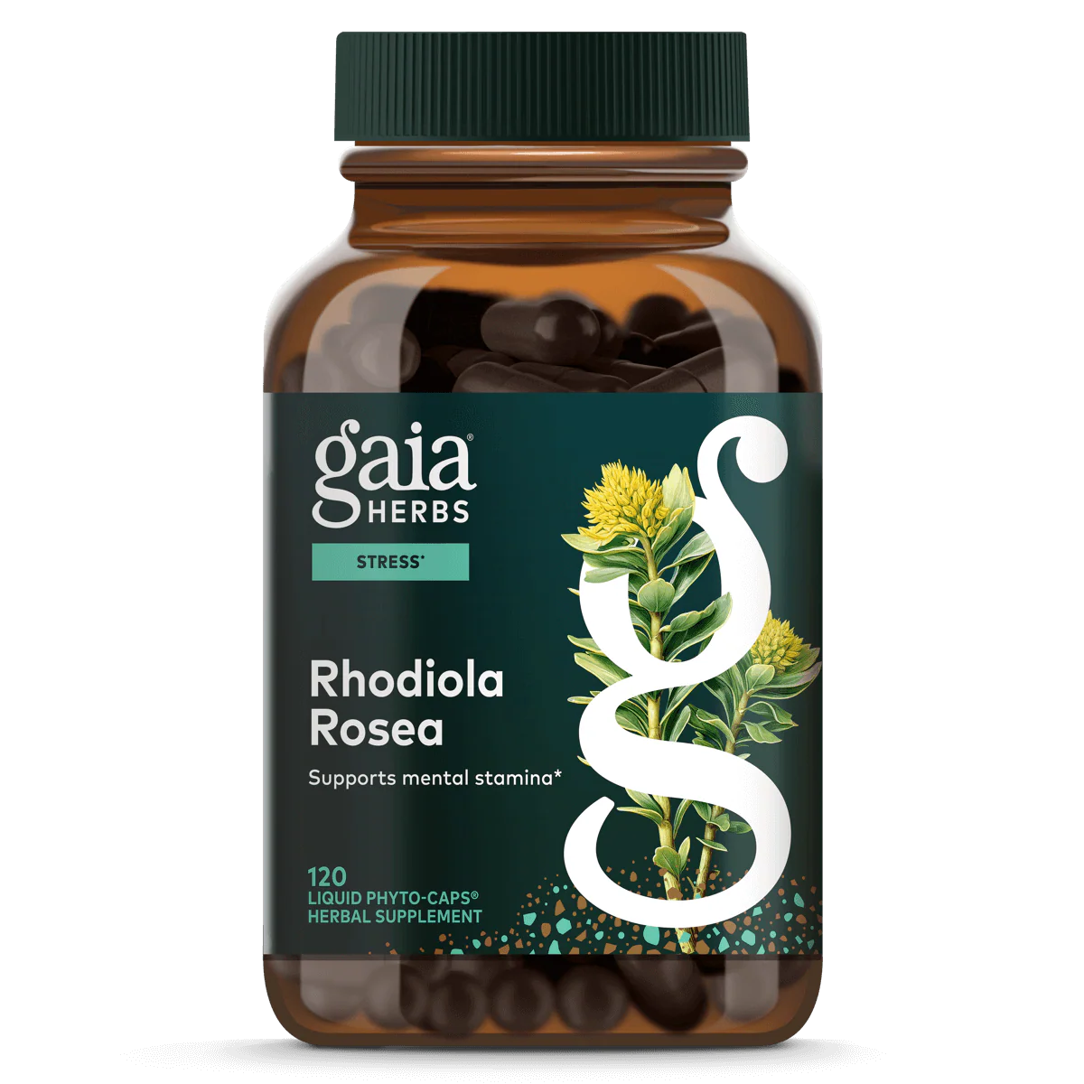 Rhodiola Rosea - Image 6