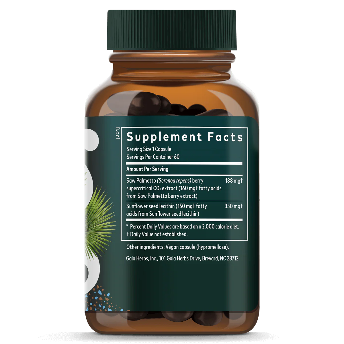 Saw Palmetto - Image 3