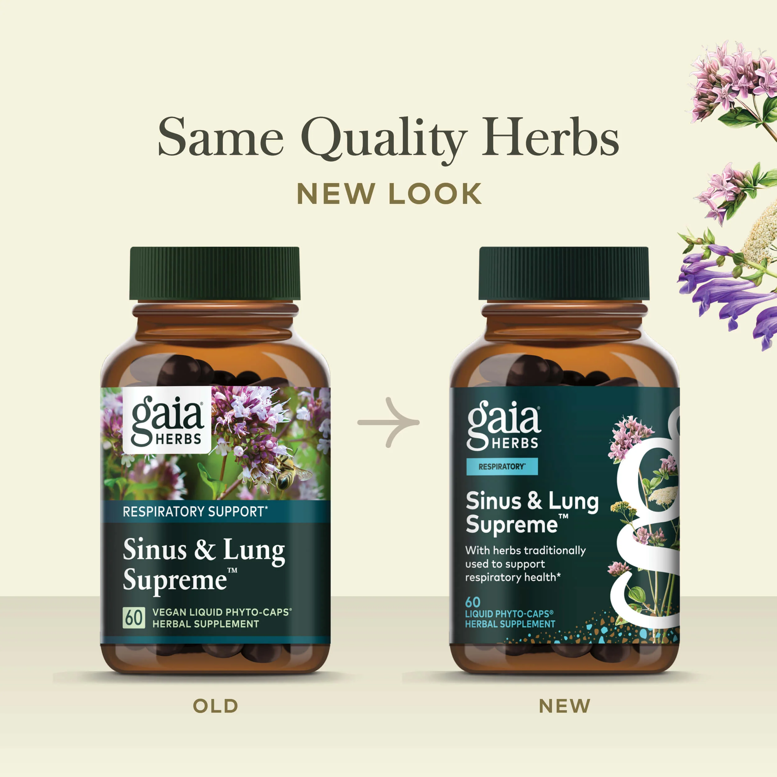 Sinus & Lung Supreme⢠- Image 2