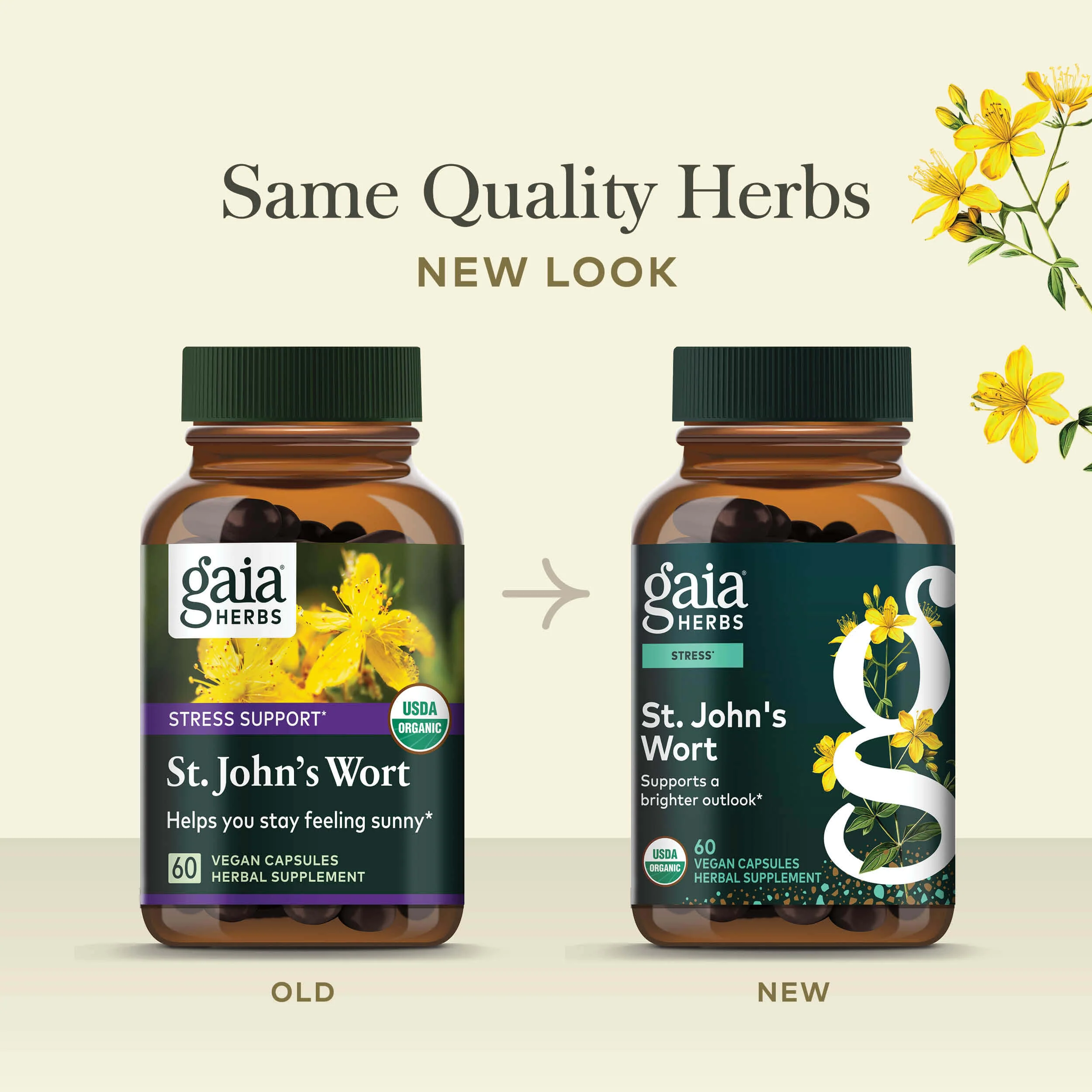 St. John's Wort - Image 2