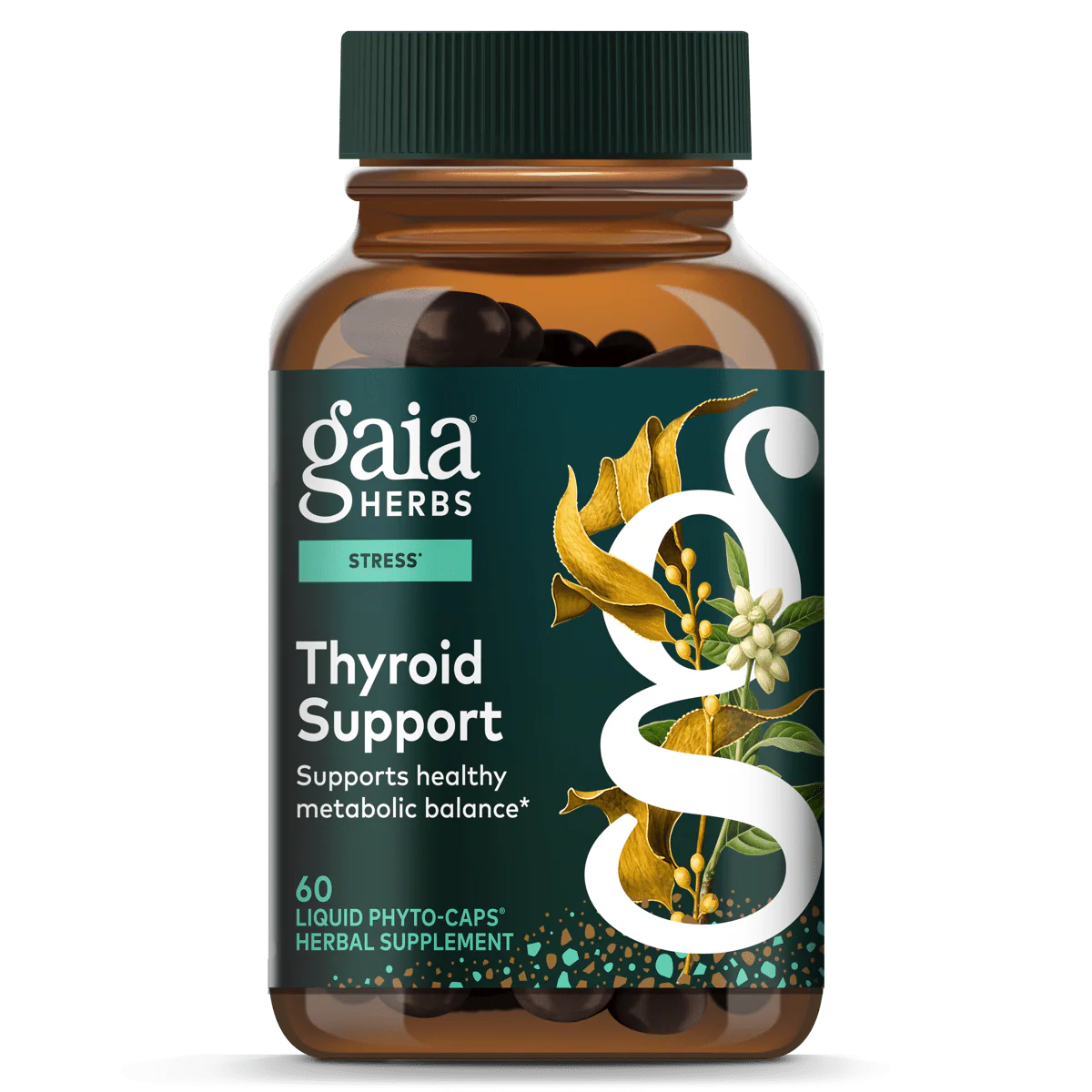 Thyroid Support