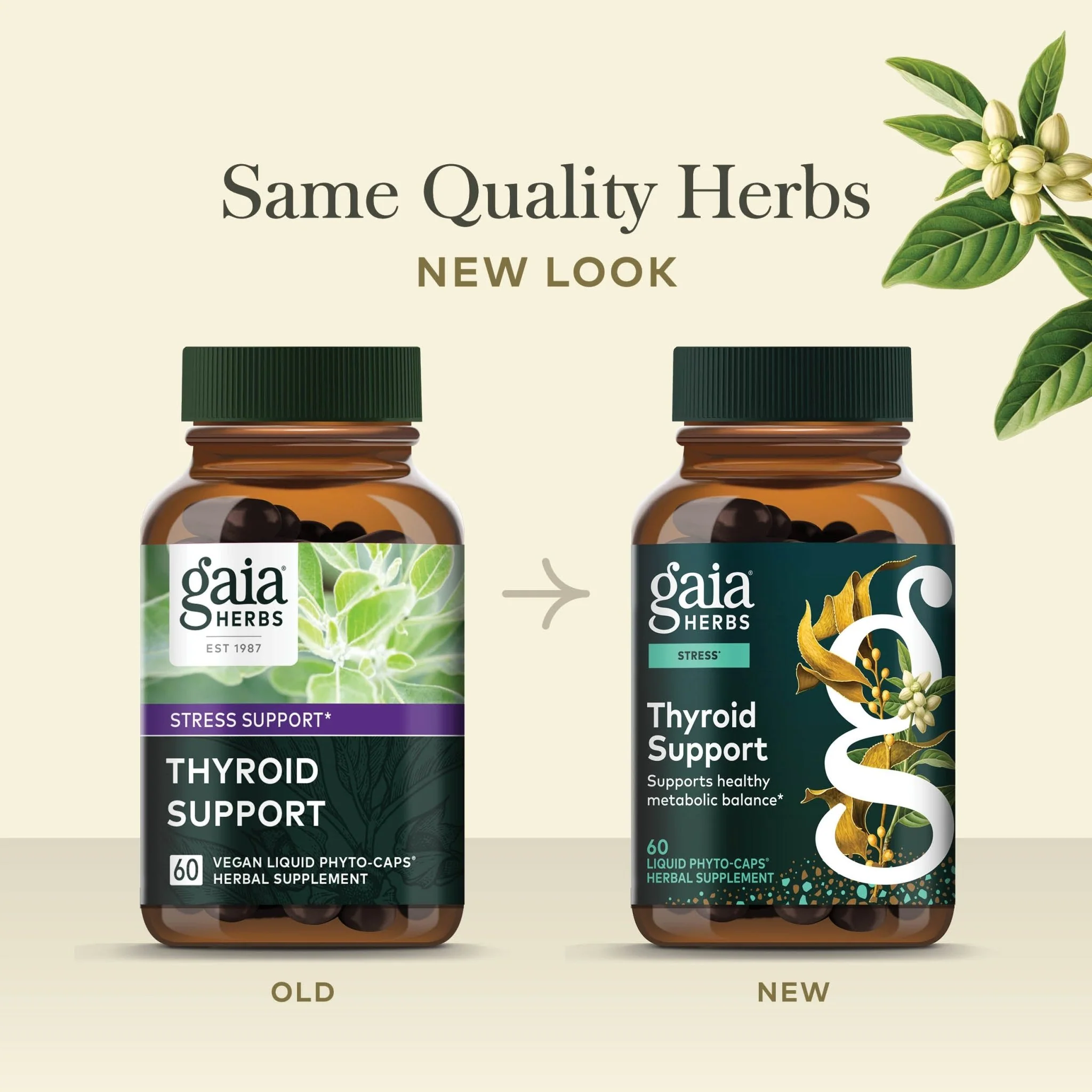 Thyroid Support - Image 2
