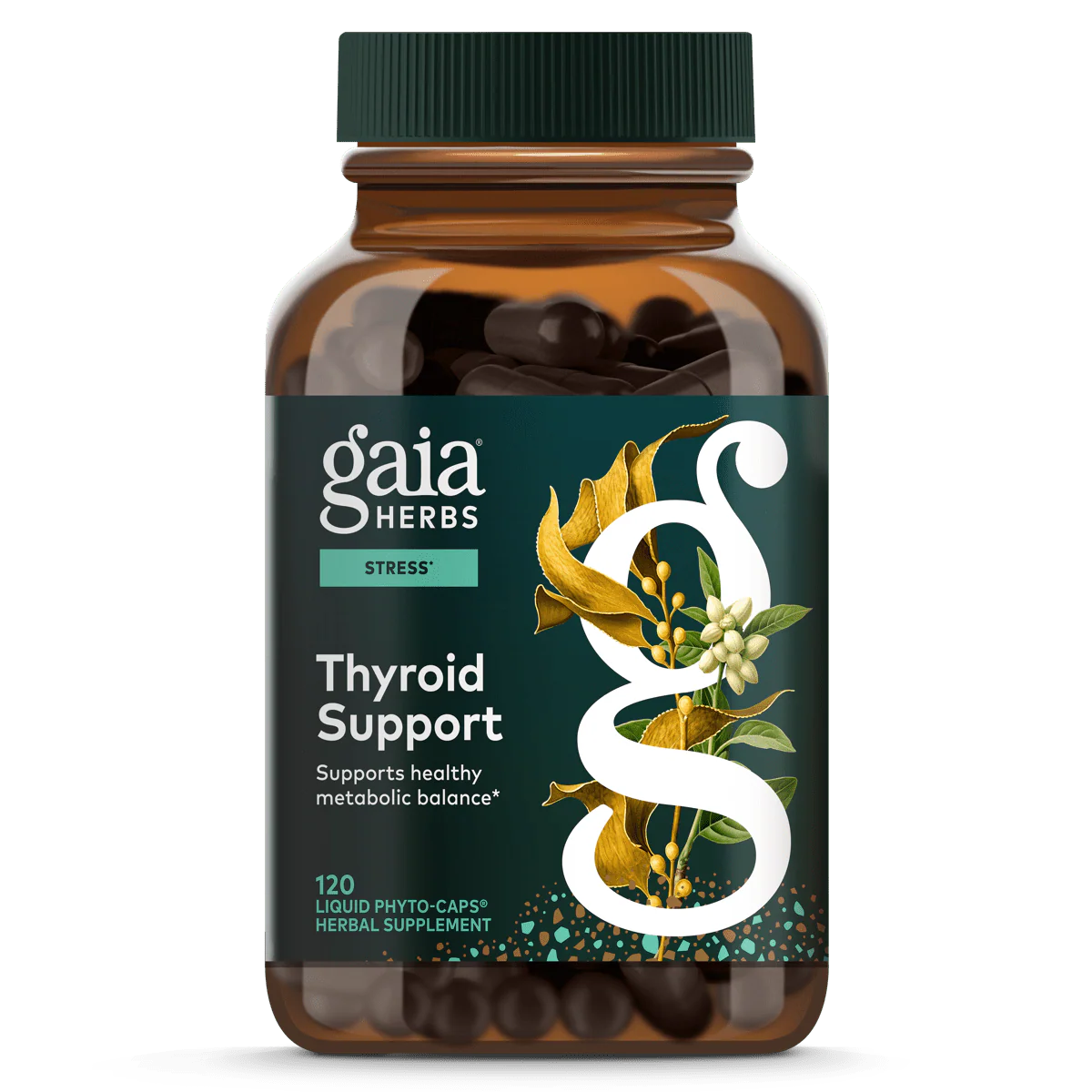 Thyroid Support - Image 6