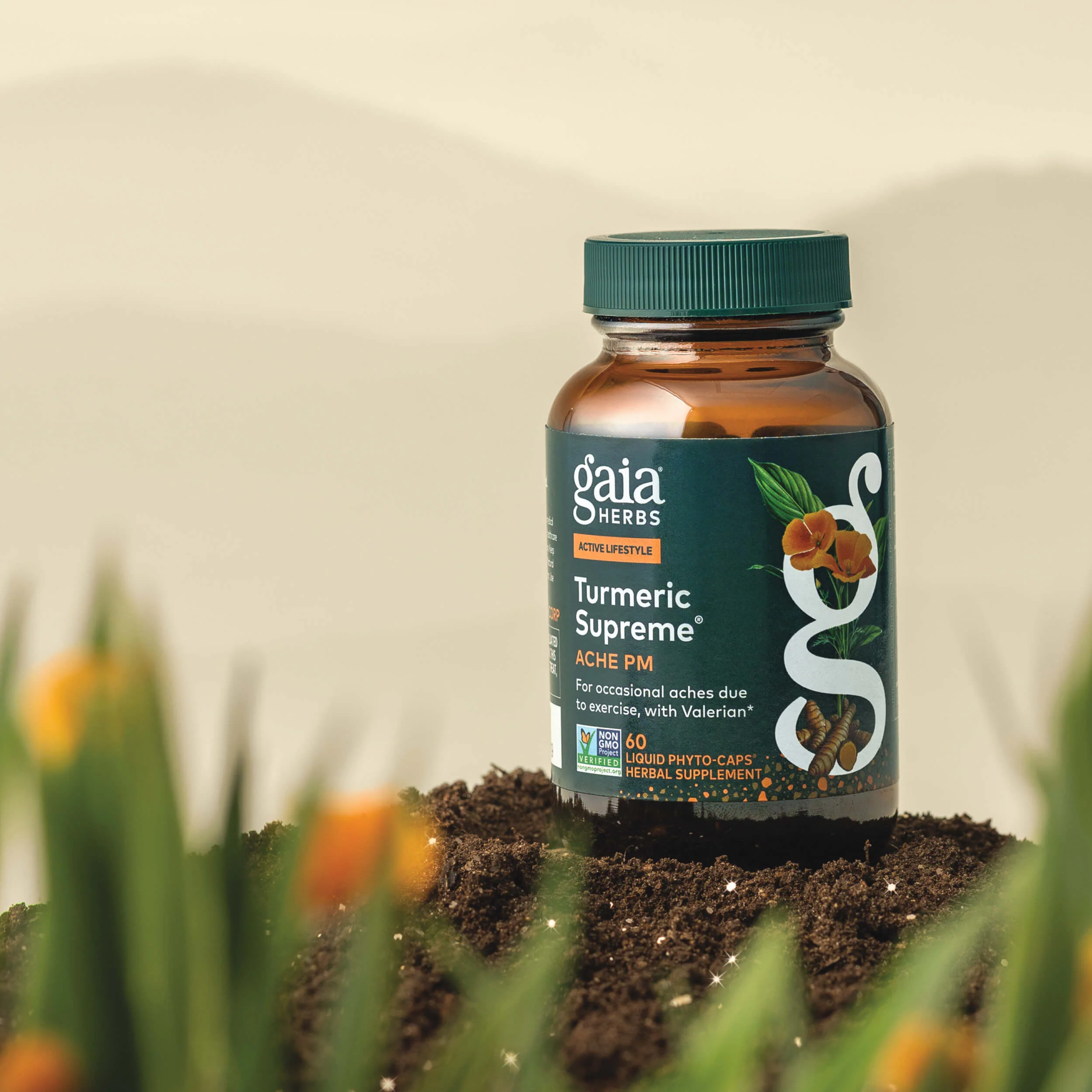Turmeric SupremeĀ® Ache PM - Image 3