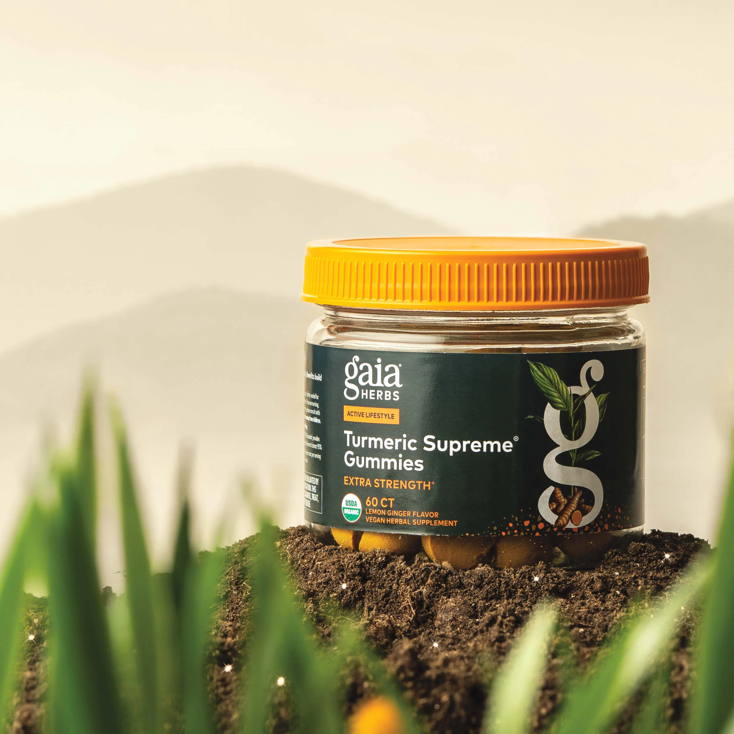 Turmeric Supreme® Gummies Extra Strength - Image 3