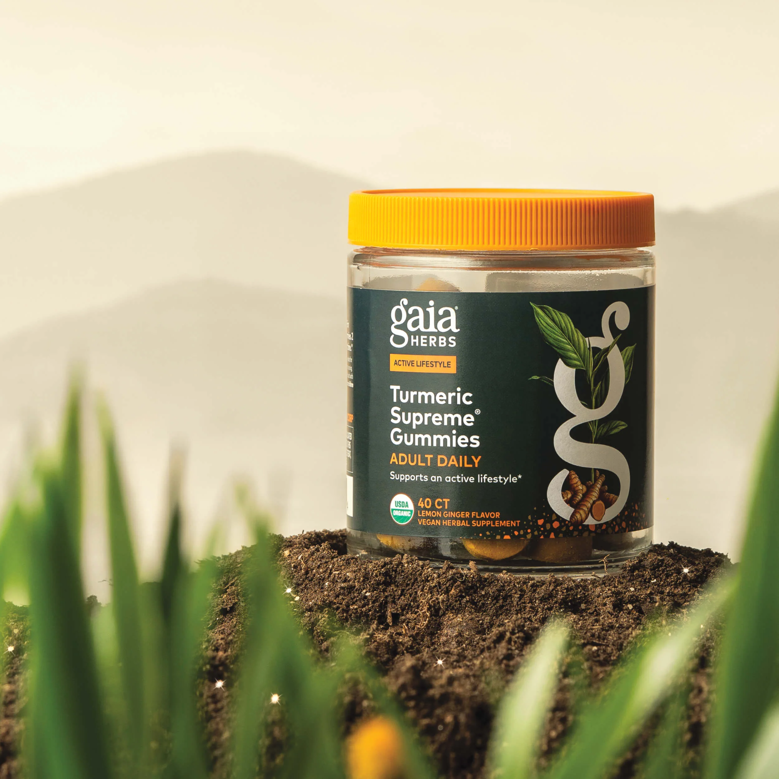 Turmeric Supreme® Gummies Adult Daily - Image 3