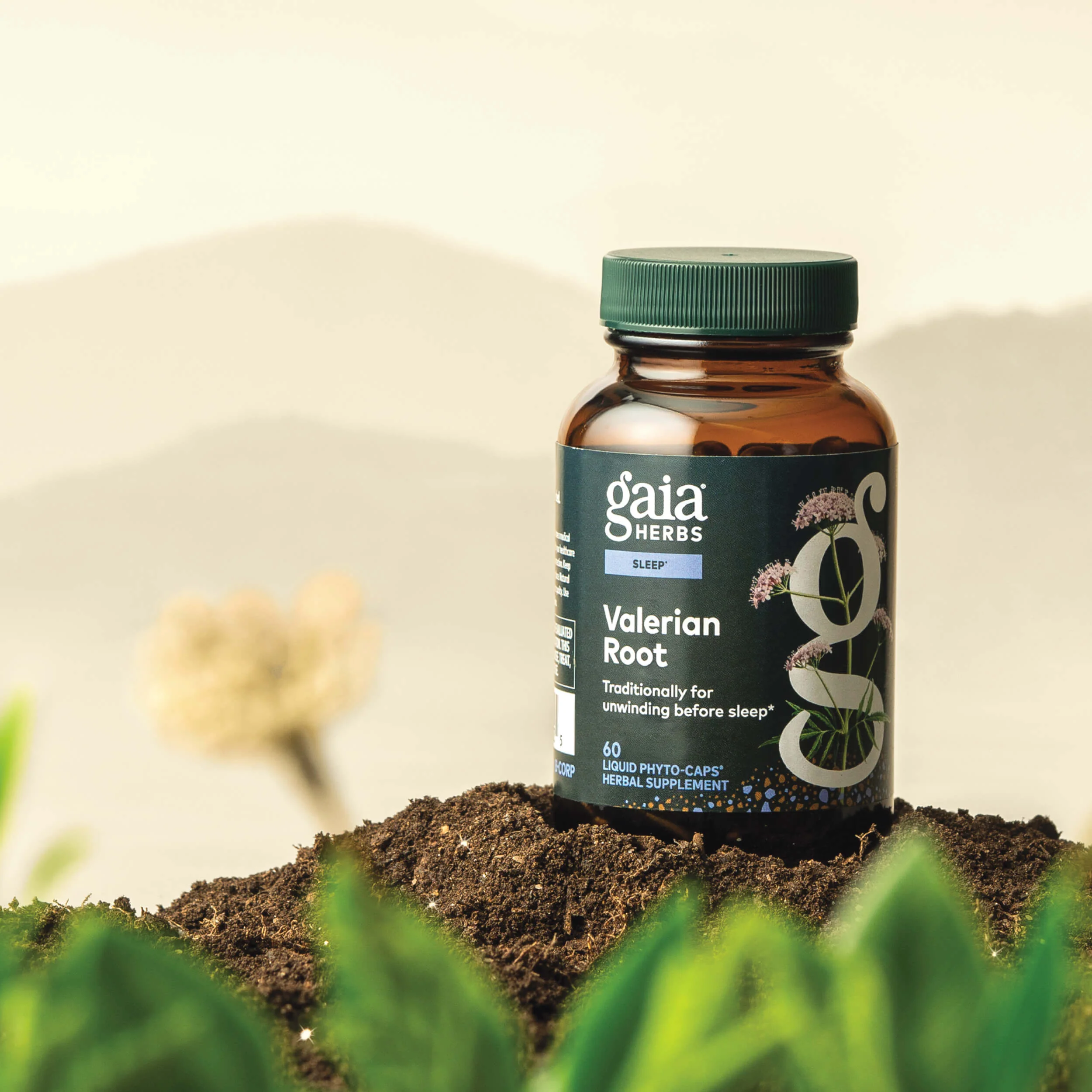 Valerian Root - Image 3